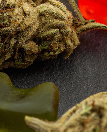 Edible Cannabis